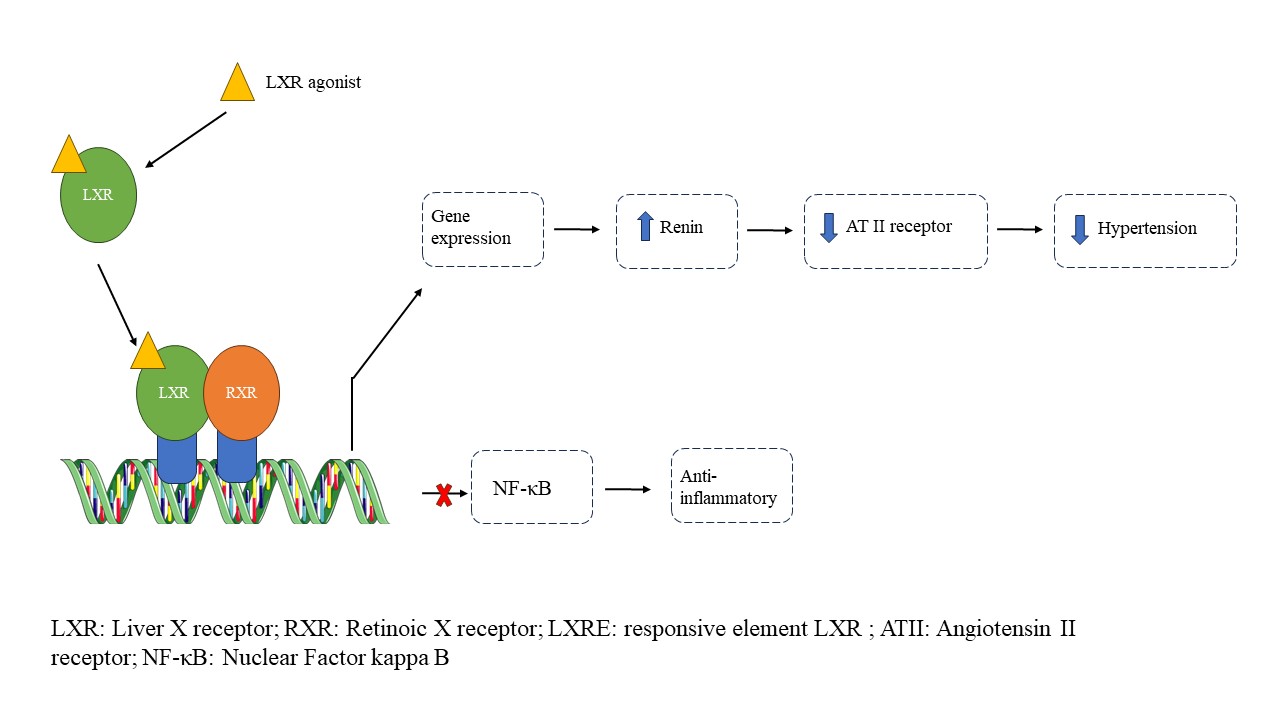 Graphical Abstract 